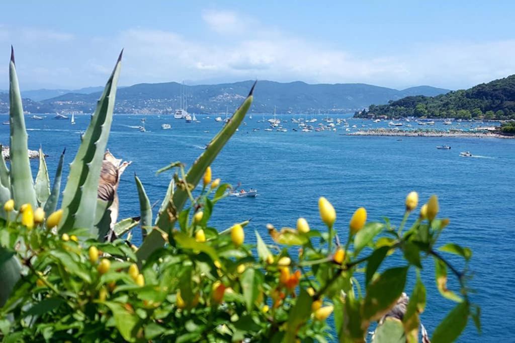 Infinity Blue Appartement Porto Venere